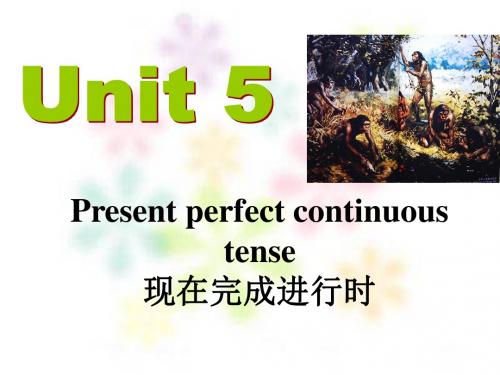 人教版高中英语选修8(Book8)：Unit5 Grammar (共20张PPT)