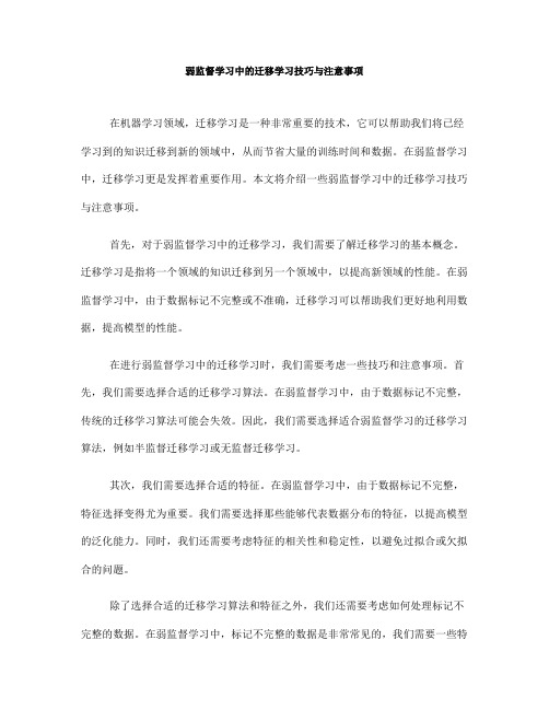 弱监督学习中的迁移学习技巧与注意事项