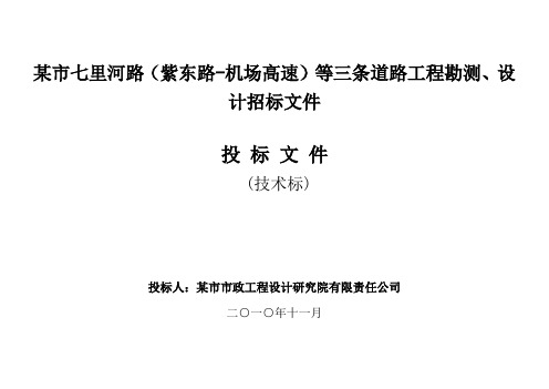 某路道路工程勘测、设计招标文件技术标1