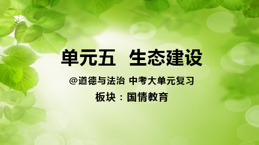 2024年中考大单元复习课件  国情教育 单元五  生态建设(共16张PPT)