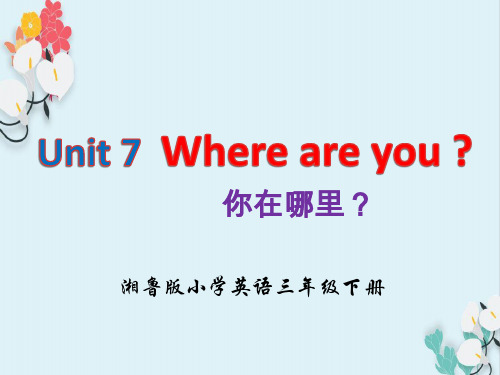 湘鲁版小学英语三年级下册  Unit 7  Where are you.section A