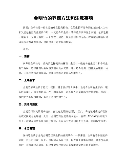 金明竹的养殖方法和注意事项