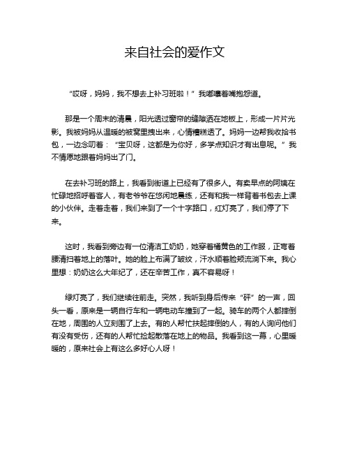 来自社会的爱作文