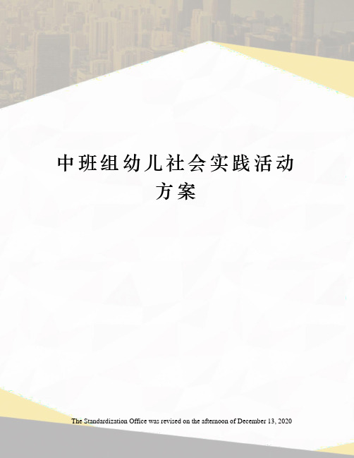 中班组幼儿社会实践活动方案