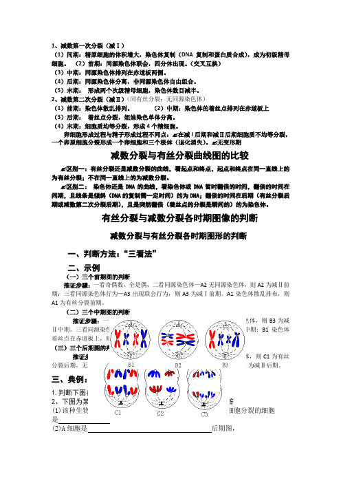 讲义：有丝分裂与减数分裂图像的判断