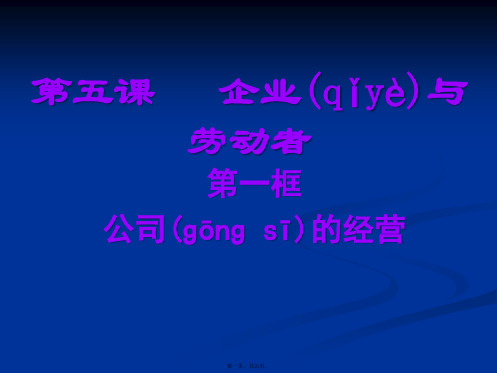 高一政治课件251公司的经营2新必修1