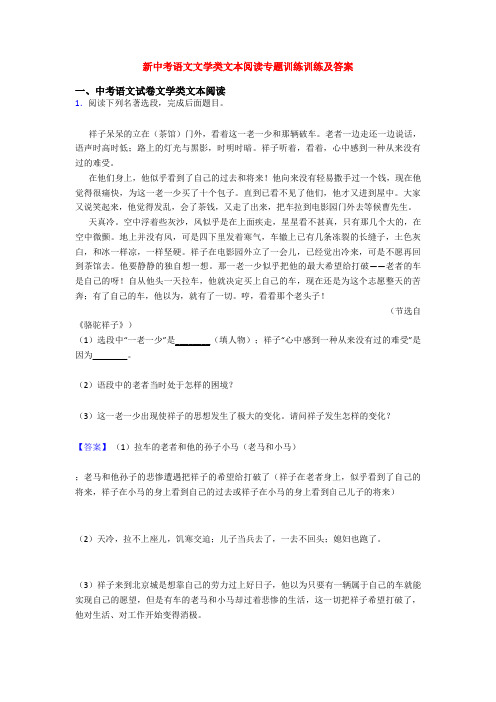 新中考语文文学类文本阅读专题训练训练及答案