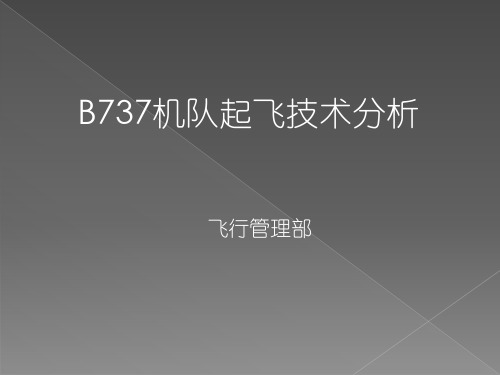 B737机队起飞技术分析