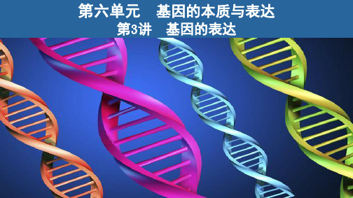第6单元第第3讲 基因的表达课件高考生物一轮复习