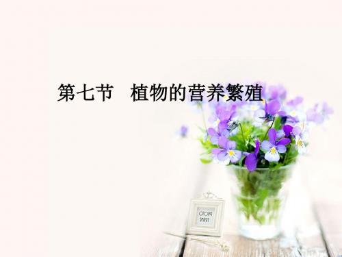 《植物的营养繁殖》参考课件2