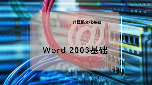 Word 2003基础