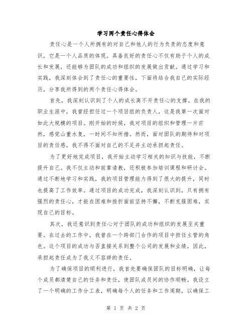 学习两个责任心得体会