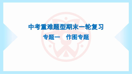 2023年人教版八年级上册物理期末复习专题一作图专题