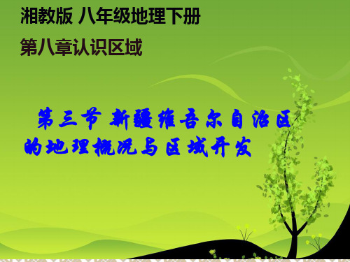 湘教版地理八年下8.3新疆维吾尔自治区的地理概况与区域开发 (共21张PPT)