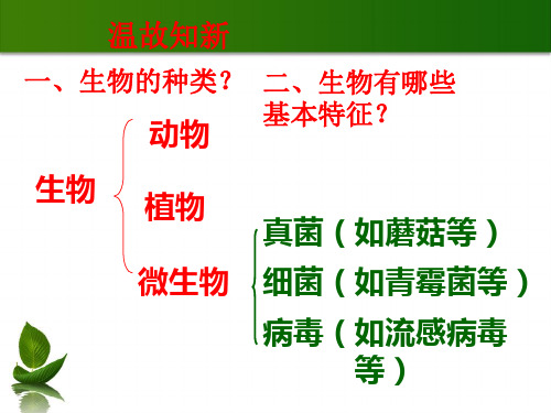 济南版七年级生物上册  第一单元第一章第二节生物的生活环境