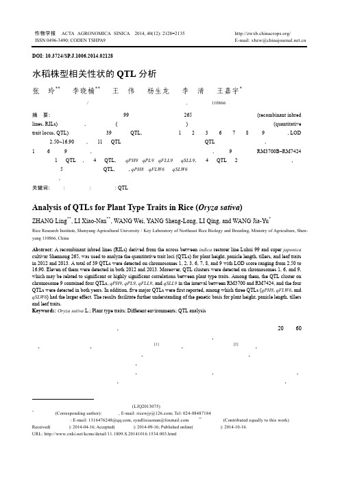 水稻株型相关性状的QTL分析