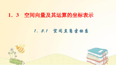 数学人教A版选择性必修第一册1.3.1空间直角坐标系课件