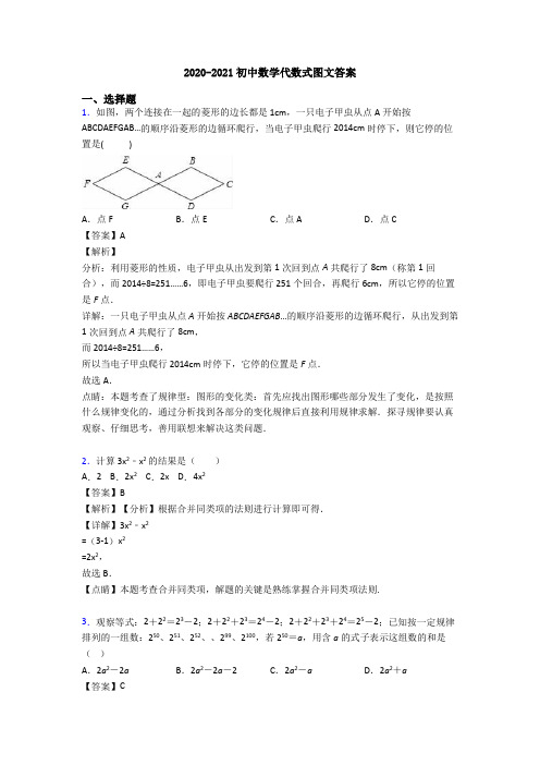 2020-2021初中数学代数式图文答案