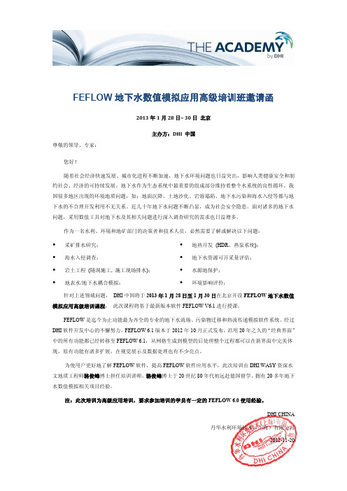 FEFLOW地下水数值模拟应用高级培训班20121120