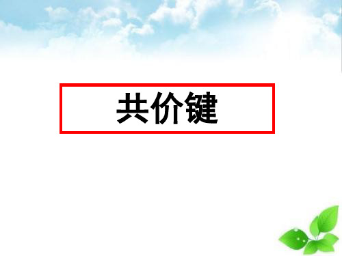 共价键PPT课件(上课用)