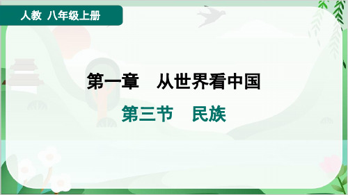 2024年人教版八年级上册地理第一章从世界看中国第三节民族