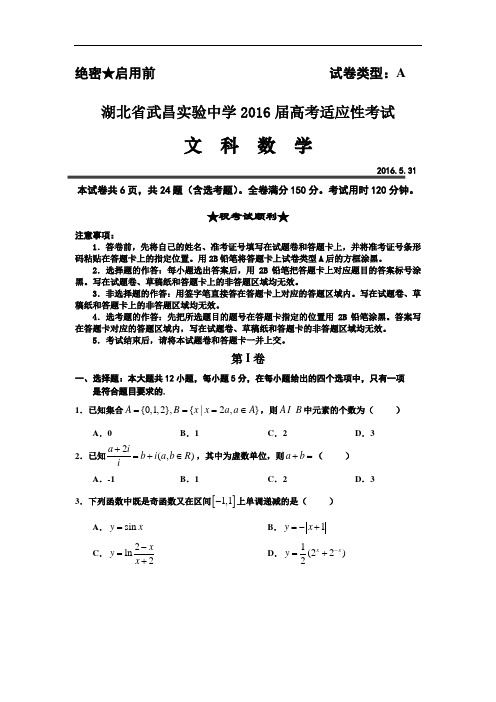 2016届湖北省武昌实验中学高三高考前临门一脚数学(文)试题