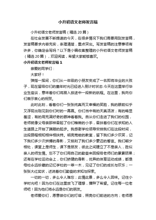 小升初语文老师发言稿（精选20篇）