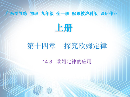 14.3 欧姆定律的应用—2020秋沪粤版九年级物理上册作业课件(共19张PPT)