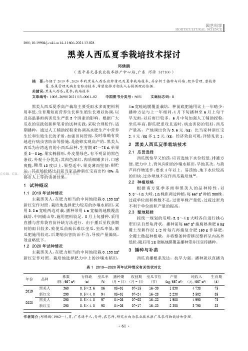 黑美人西瓜夏季栽培技术探讨