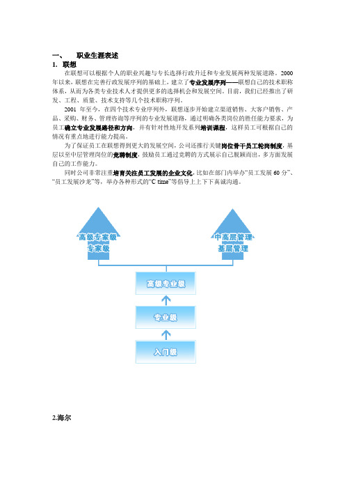 知名企业职业生涯描述