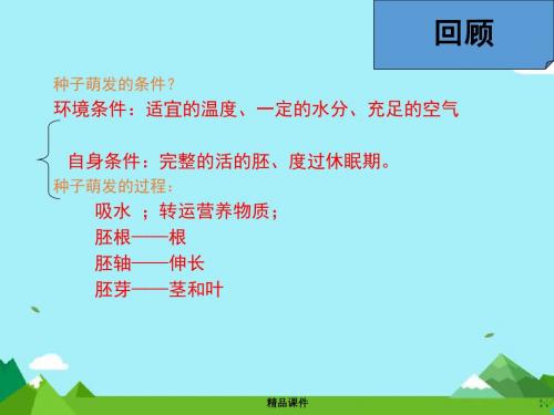 八年级生物上册第3单元第2章第1节根的生长课件冀教版