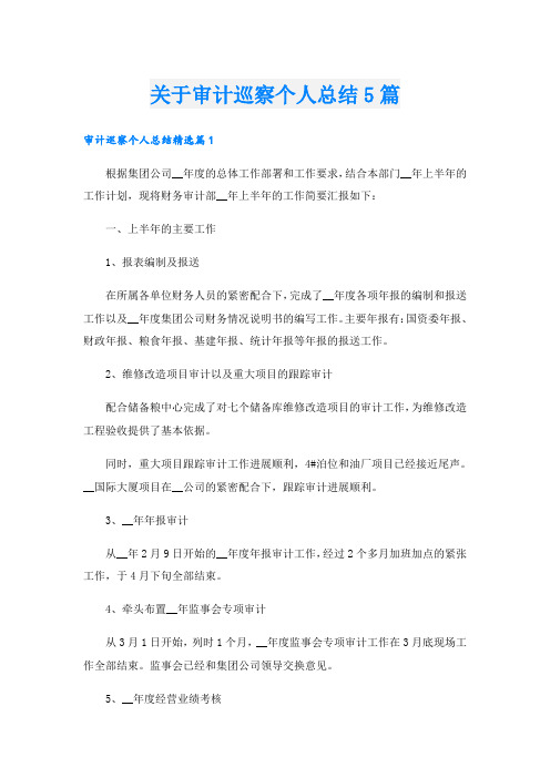 关于审计巡察个人总结5篇