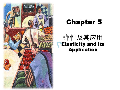 微观经济学chapter5弹性及其应用