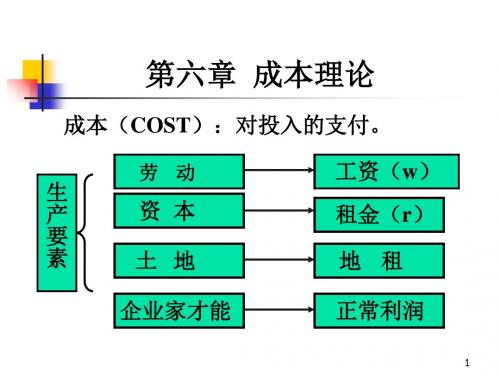 六章成本理论-PPT精选