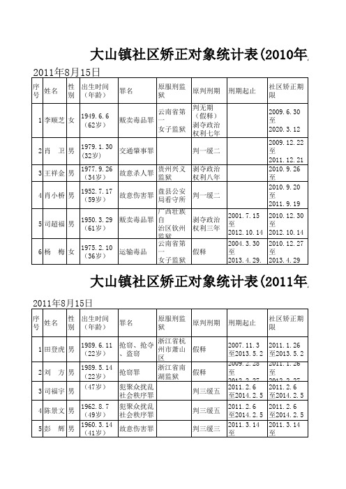 社矫对象统计表