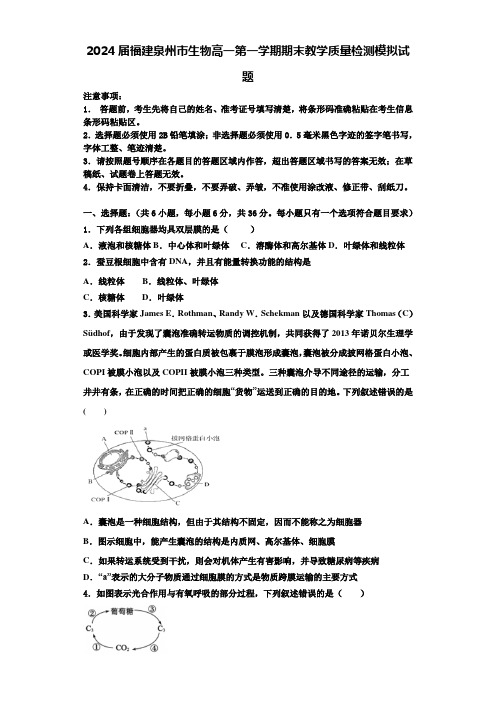 2024届福建泉州市生物高一第一学期期末教学质量检测模拟试题含解析