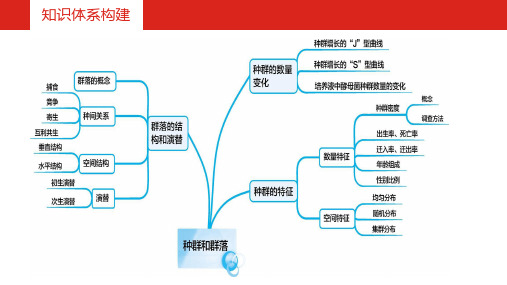 种群的特征