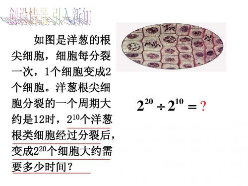 3.6同底数幂的除法(1)(1)