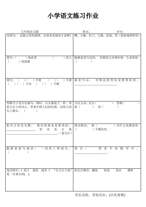 小学五年级语文家庭作业 (18)