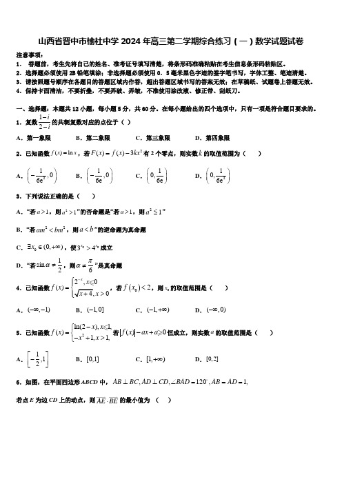 山西省晋中市榆社中学2024年高三第二学期综合练习(一)数学试题试卷