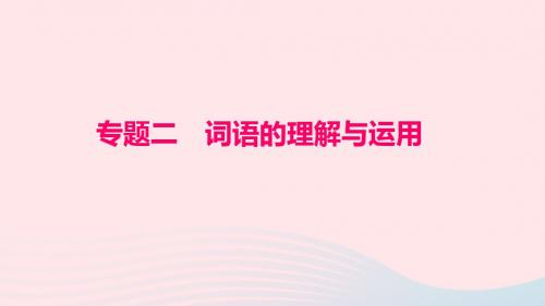 九年级语文下册期末专题复习二词语的理解与运用习题课件新版新人教版