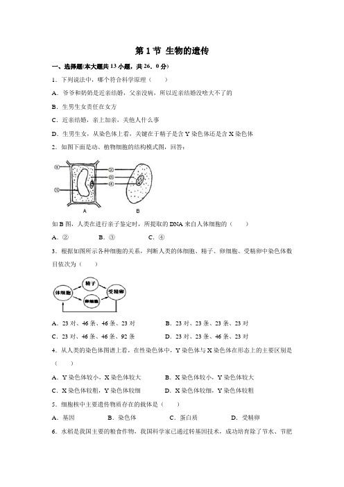 苏科版八年级下册第七单元第22章生物的遗传与变异第1节生物的遗传习题(含解析)