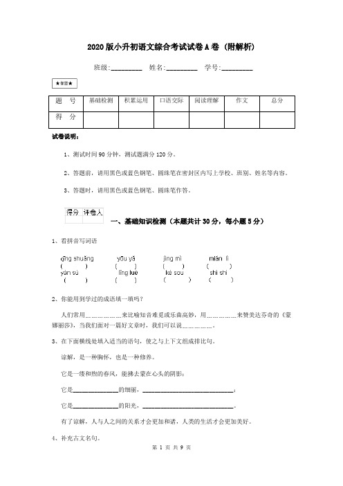 2020版小升初语文综合考试试卷A卷 (附解析)