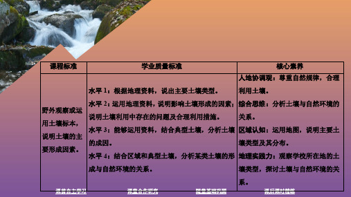 2020新教材高中地理第二章自然地理要素及现象第六节土壤的主要形成因素课件中图版必修第一册