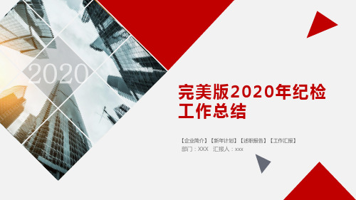 完美版2020年纪检工作总结PPT