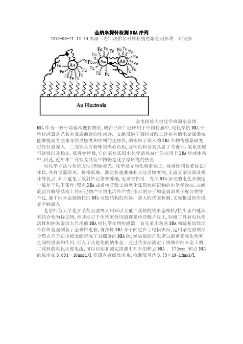 金纳米探针检测DNA序列