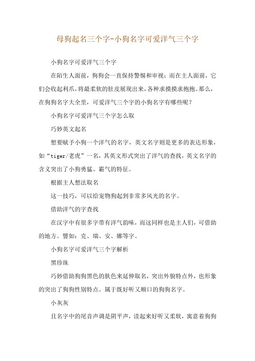 母狗起名三个字-小狗名字可爱洋气三个字