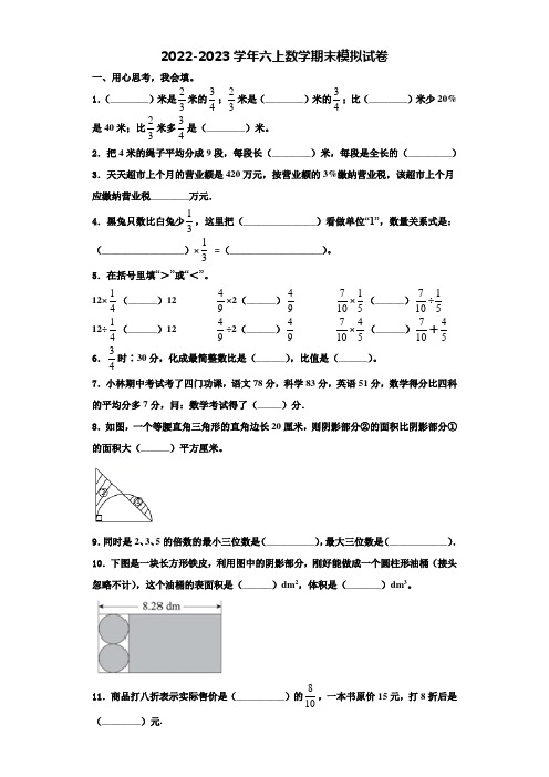 2022-2023学年河南省鹤壁市鹤山区数学六上期末检测试题含解析