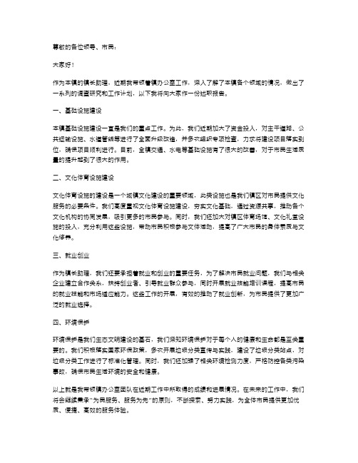 镇长助理述职报告