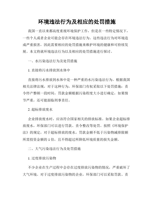 环境违法行为及相应的处罚措施